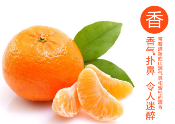 【邵陽紅 洞口】農(nóng)家土特產(chǎn)品雪峰蜜桔