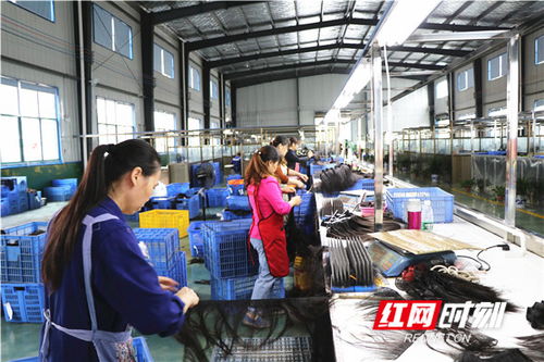 三湘情 建行心丨激活一個產業 帶富一方百姓