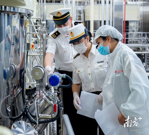 連續12個月正增長 惠州外貿上半年比增33.7